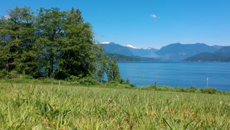 Ruhiger-Park-Am-Meer,-An-Einem-Heißen,-Sonnigen-Sommertag-Ist-Niemand-Zu-Sehen