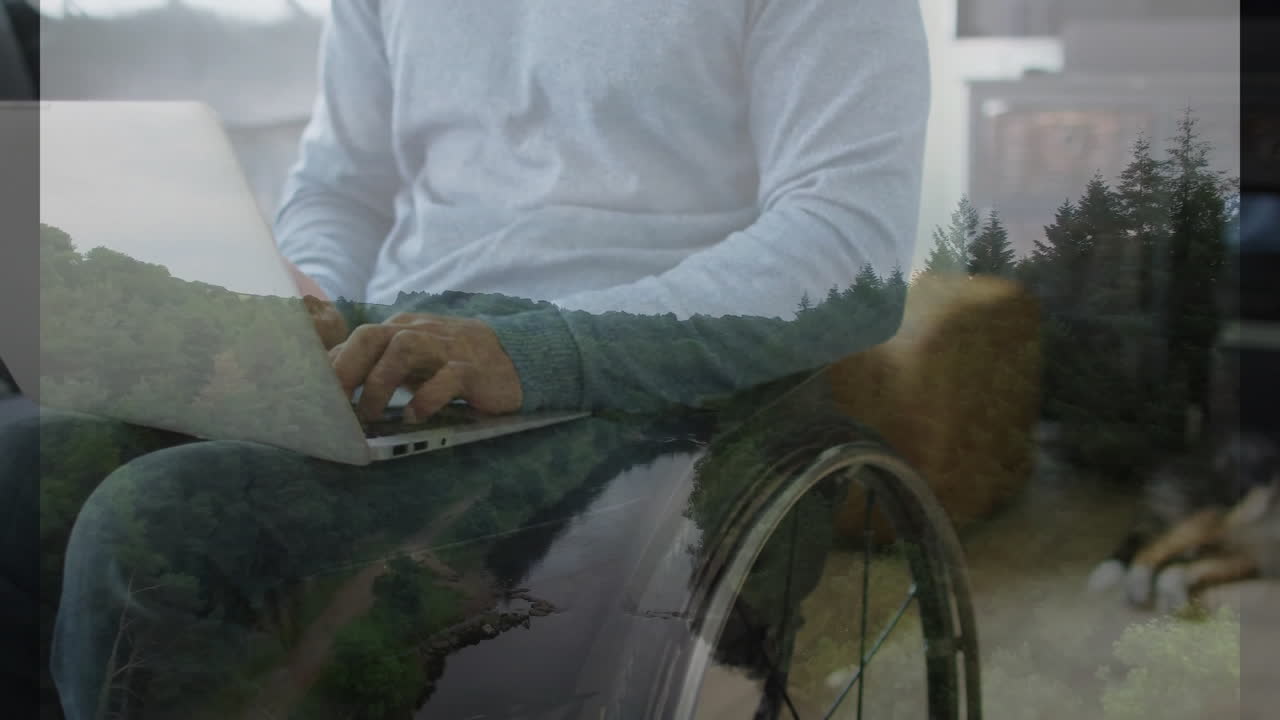 Using laptop, person in wheelchair with animation of forest and road scene