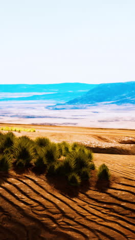 a scenic view of a desert landscape with sand dunes and a few green bushes in the foreground.