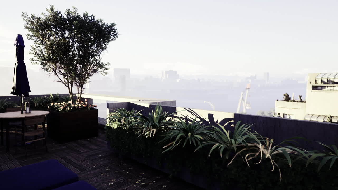 Rooftop garden with plants and seating overlooking a foggy cityscape