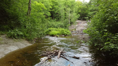 beautiful shot of lakes and rivers in the nature forests of canada