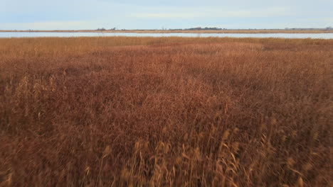 the camera passes over the reeds and approaches the fishing boat on the lake