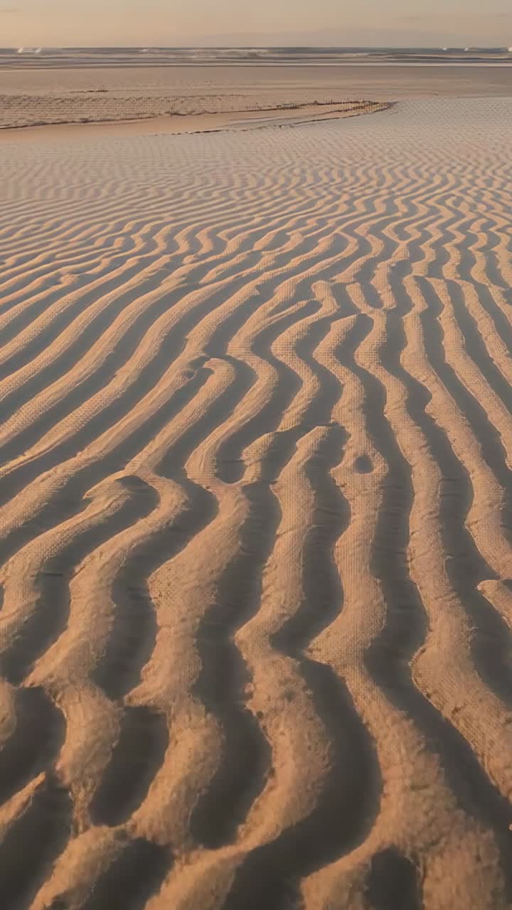 Vertical video: Slowly pulling back camera revealing rippled sand, tidal channel, shore and horizon