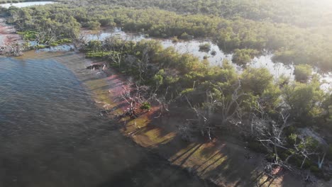 Cayos-De-Florida-Marisma-Costa-Sin-Nombre-Clave-Golfo-De-México-Bosques-Pescar-Paseos-En-Bote-Turismo-Tropicales-Vacaciones-Aéreo-Drone-Seguimiento