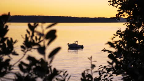 Reveal-of-boat-between-the-trees-on-calm-ocean-during-golden-sunset