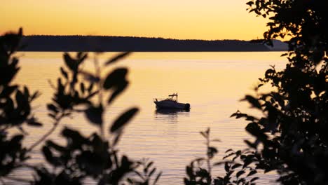 reveal of boat between the trees on calm ocean during golden sunset