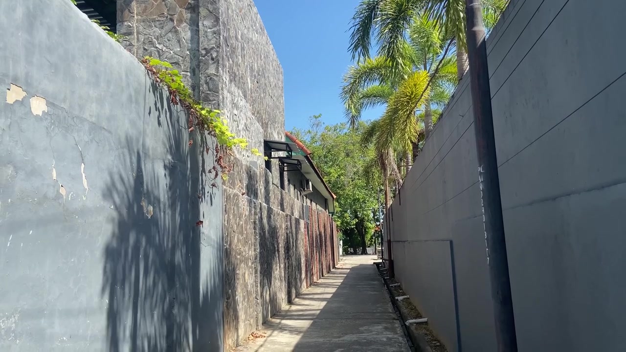 Walking Through a Narrow Alley with Palm Trees and Sunlight