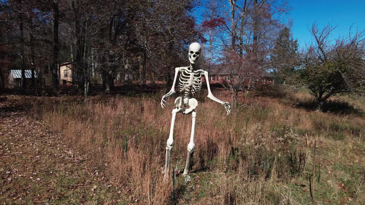 4K drone orbiting 12ft skeleton in field