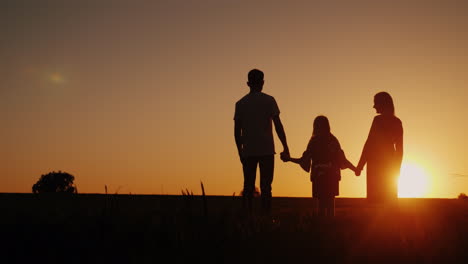 familia joven con un niño admirando la puesta de sol en el campo tomados de la mano video 4k