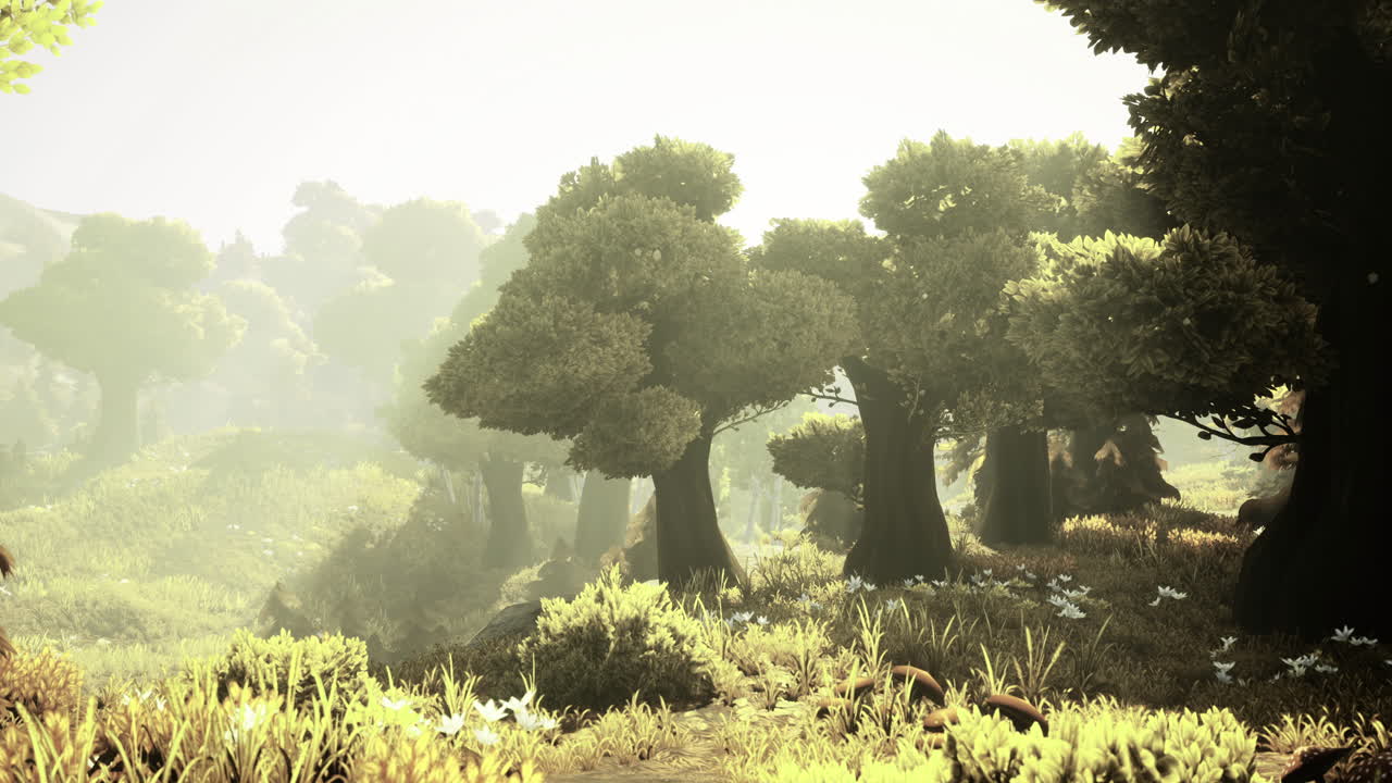 Lush landscape with sun drenched trees in a serene woodland setting