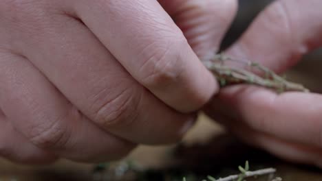 Crush-fresh-thyme-with-your-fingers-for-chimichurri-sauce,-on-a-wooden-board