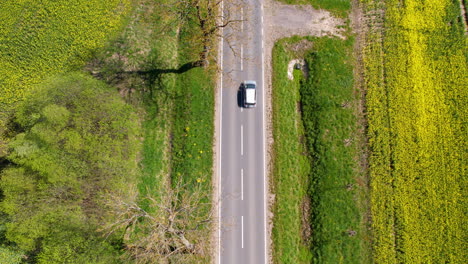 aerial top down of driving electric car on road between yellow canola field