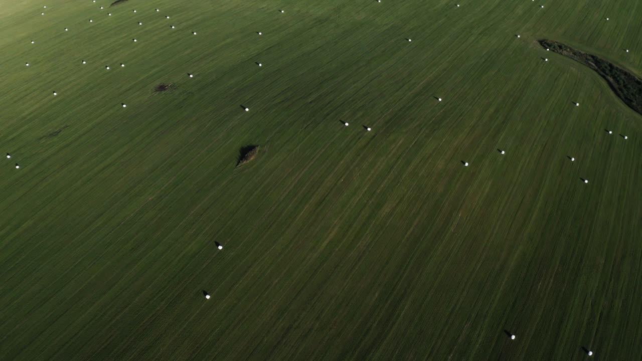 수확 중 신선한 초록색 과 건조한 을 가진 시골 풍경의 공중 풍경.
