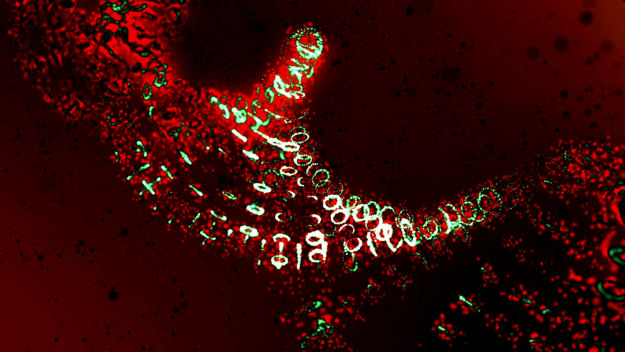 dna의 형성: dna 줄무는 개별 요소에서 조립됩니다.