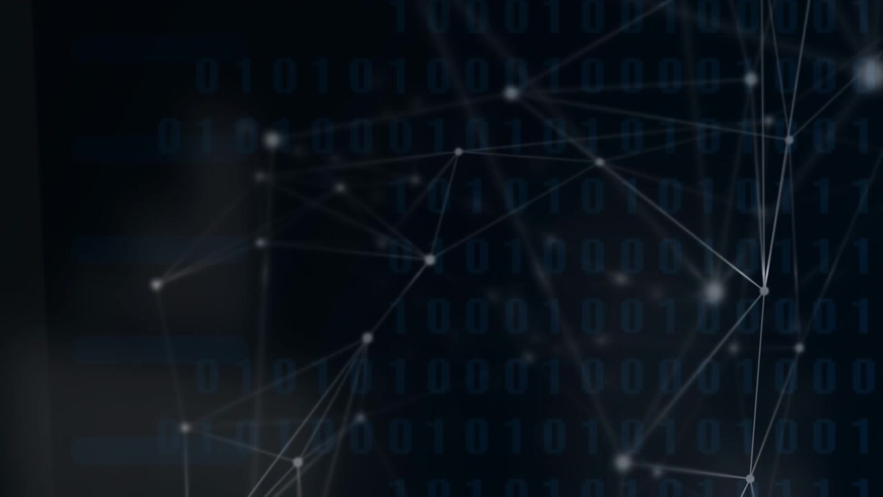 Animation of network of connections over data processing