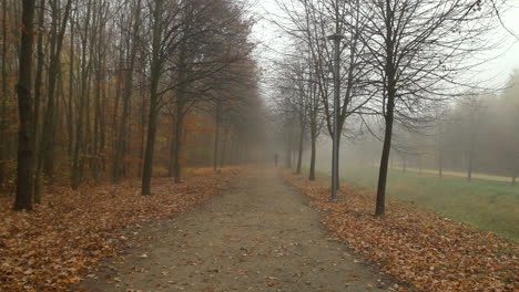 Un-Hombre-Está-Caminando-En-Un-Camino-De-Parque-De-La-Ciudad-De-Niebla-En-Otoño