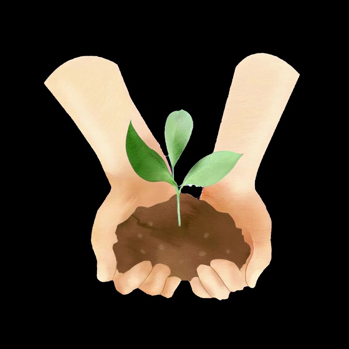 Illustrazione ad acquerello di mani che reggono una piccola pianta nel terreno