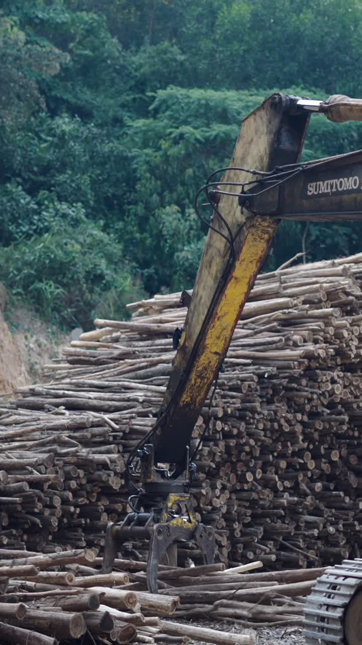 Logging operation with excavator