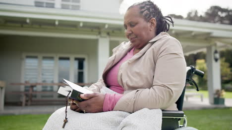 outdoor, wheelchair and elderly woman