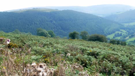 Nebligen-Morgen-Bergtal-Landschaft-Blick-über-Ländliche-Malerische-Wanderlandschaft-Rechts-Dolly