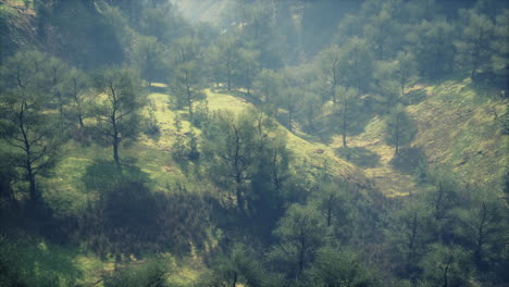 misty mountain valley landscape