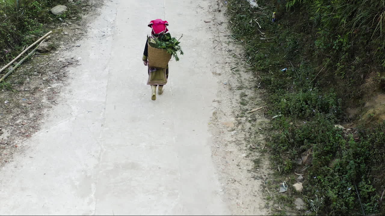 A farmer carries a backpack filled with herbal plants while walking on a rural trail. The drone follows closely, showcasing the landscape and the dedication of agricultural life.