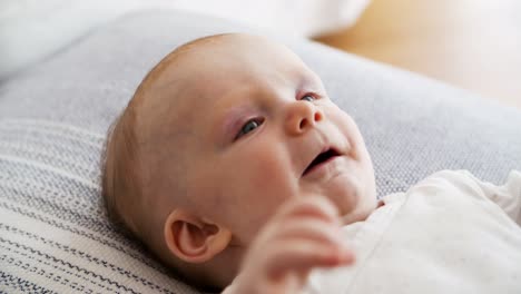 closeup of cheerful cute red haired baby