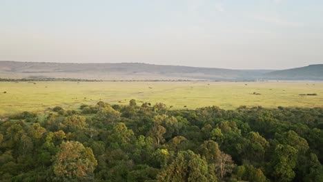 hot air ballon tour over the treetops above the canopy of beautiful african landscape in maasai mara national reserve, kenya, africa safari animals in masai mara north conservancy