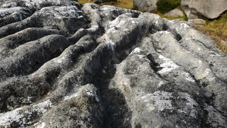 primer plano de la formación de roca caliza en el área de conservación de castle hill en nueva zelanda durante el día soleado