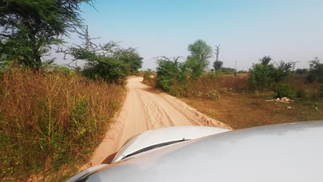 Parque-Nacional-Ranthambore-Safari-Road-Sawai-Madhopur-En-Rajasthan-Car-Pov-Safari-Off-Raod