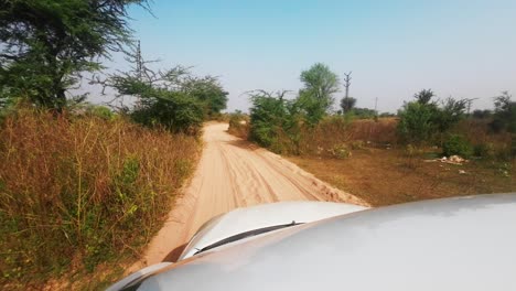 ranthambore national park safari road sawai madhopur in rajasthan car pov safari off raod