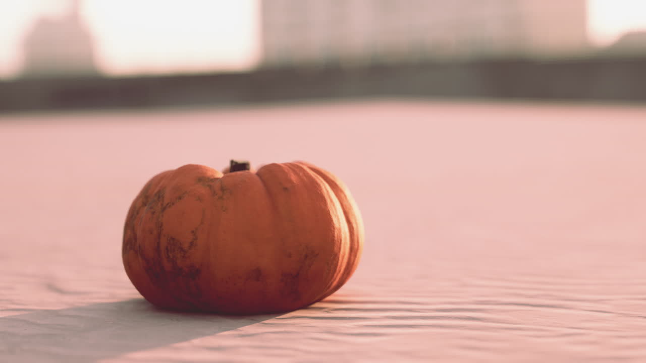 calabaza de halloween en las dunas de la playa