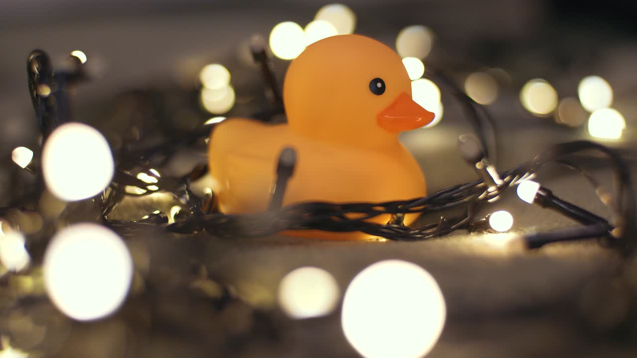 toma de primer plano de un pato de goma en el fondo de una guirnalda de navidad en un playd. decoración del hogar