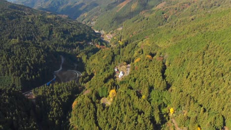 volando sobre un bosque montañoso