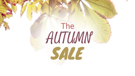 video generado digitalmente de la venta de otoño 4k