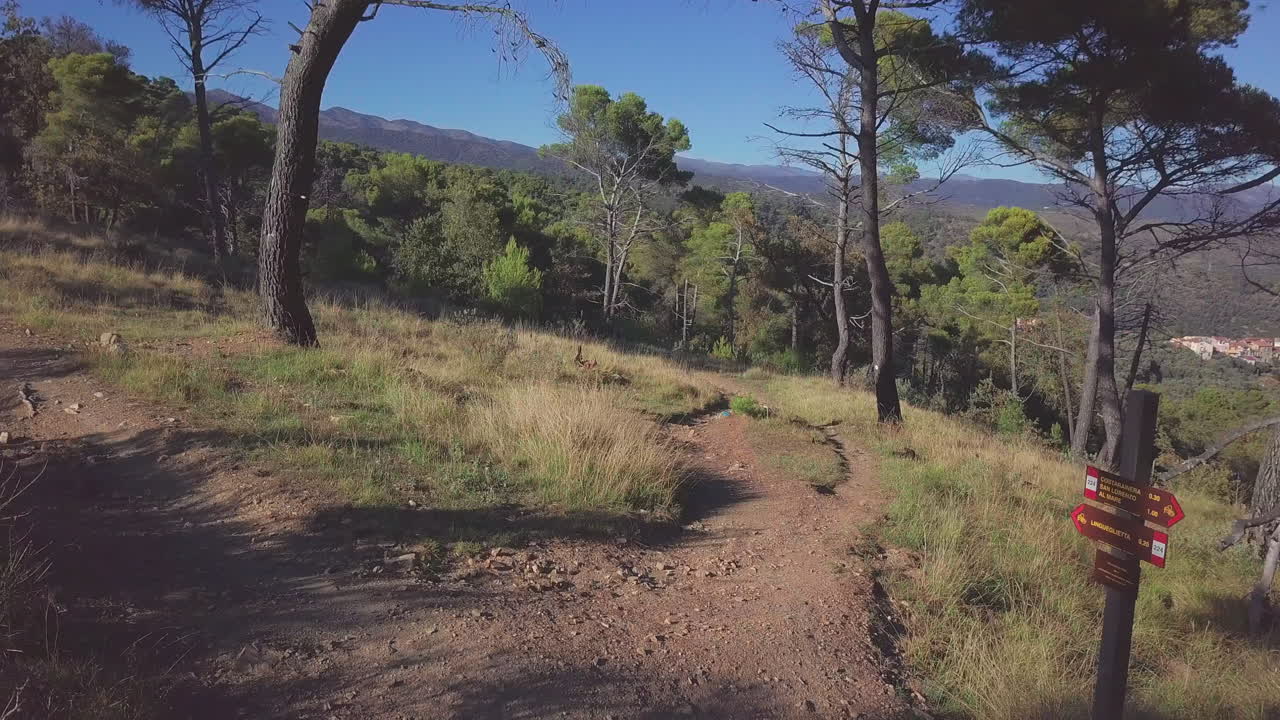 sendero para bicicletas de montaña. carretera para bicicleta deporte aventura