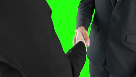 business people handshaking