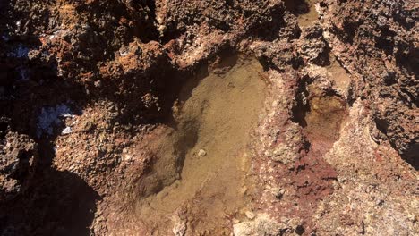 close up of eroded rocky surface with small water pools in crete greece