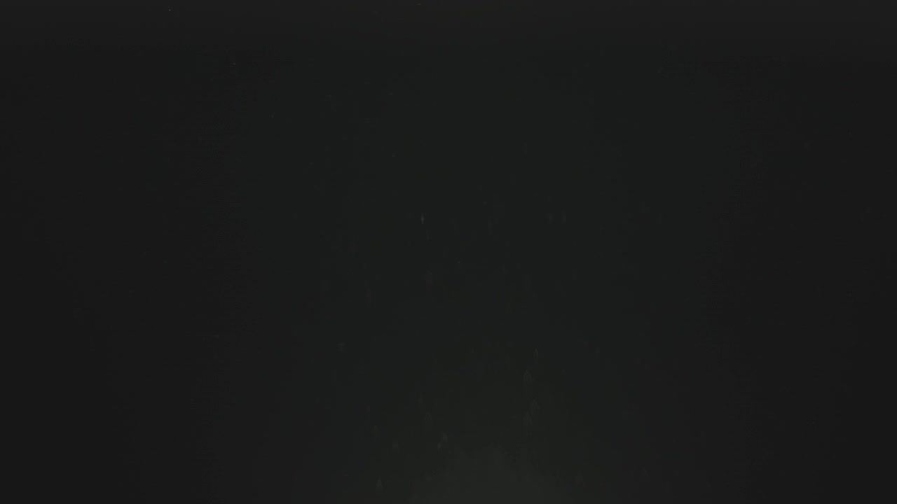 Dust Particles Against Black Background