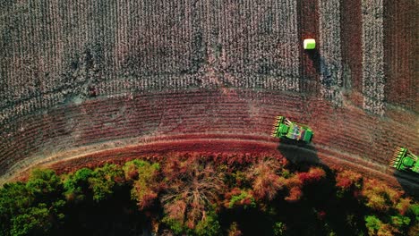 Drop-down-view-of-harvesting-cotton-at-farm-with-reaping-device-in-Georgia-USA