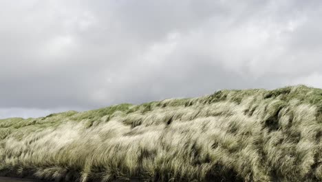 nubes grises pasando y hierba de dunas meciéndose en el viento