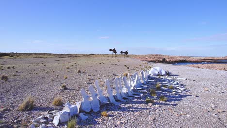 Drohnenansicht-Zeigt-Einen-Pottwalkadaver-Zusammen-Mit-Dem-Kunstwerk-„Mysteries“-Von-Christian-Boltanski-Am-Strand-Von-Bahia-Bustamante