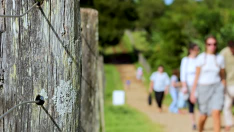two adults walk toward the camera on a dirt path bordered by rustic wooden fence posts, surrounded by greenery under bright natural sunlight. shallow depth of field, focus shifts from fence to people
