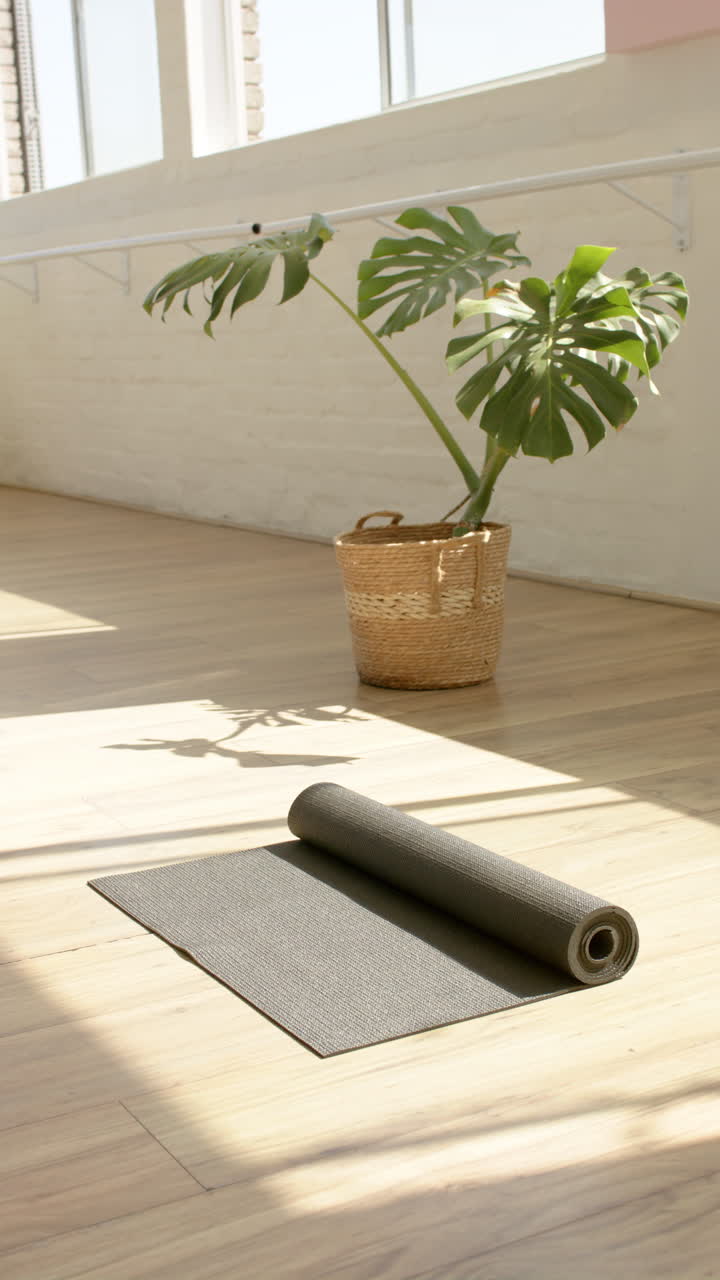 Vertical video: Yoga mat rolled out on wooden floor in bright Pilates studio with plant, copy space