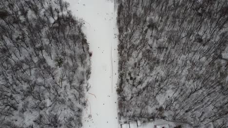 Deporte-De-Esquí,-Nieve-Invernal.-árboles-En-El-Bosque-Cubierto-De-Espectáculo.-Frío-Invierno-Nevando.-Estación-De-Esquí.-Ucrania,-Kiev