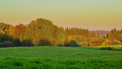Timelapse-of-shadows-of-trees-moving-through-day-time-in-rural-autumn-landscape
