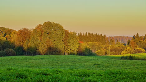 Lapso-De-Tiempo-De-Las-Sombras-De-Los-árboles-Que-Se-Mueven-Durante-El-Día-En-El-Paisaje-Rural-De-Otoño