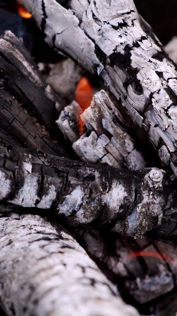 Close up of blazing fire. Flames of piece of firewood on open campfire