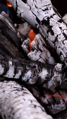 close up of blazing fire. flames of piece of firewood on open campfire