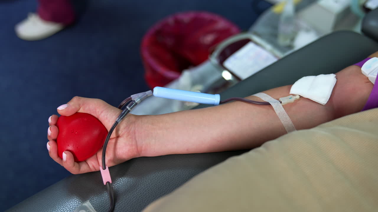 Female arm of an unrecognized donor with a red ball in hand. A catheter filled with blood attached to a vein. Close up.